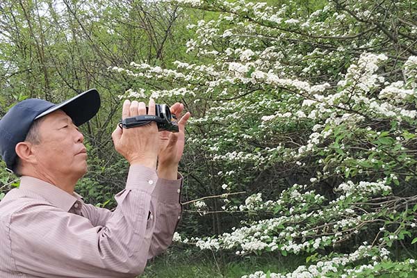 深山一角 深山一角