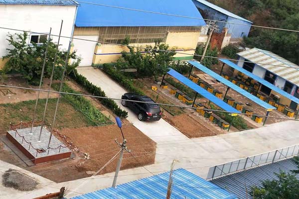 蜂場(chǎng)風(fēng)采 蜂場(chǎng)風(fēng)采