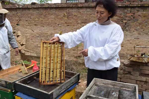 蜂場(chǎng)風(fēng)采 蜂場(chǎng)風(fēng)采