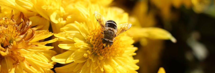 202501181737194007300886.jpg 20180621183020_87884.jpg